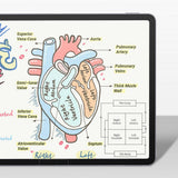 Apple iPad Pro 11 2025 M5 Kağıt Hisli Benks Mat Paper-Like Ekran Koruyucu