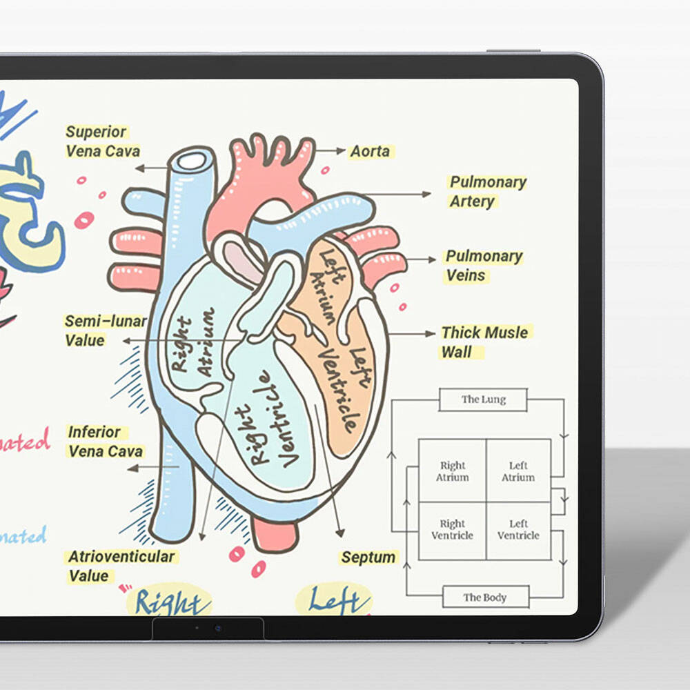 Apple iPad Pro 13 2025 M5 Kağıt Hisli Benks Mat Paper-Like Ekran Koruyucu