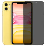 Apple iPhone 12 Mini Go Des Privacy Ekran Koruyucu