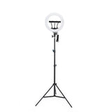 Jmary FM-14R Kumandalı 34cm Işıklı Telefon Tutucu Ring Light