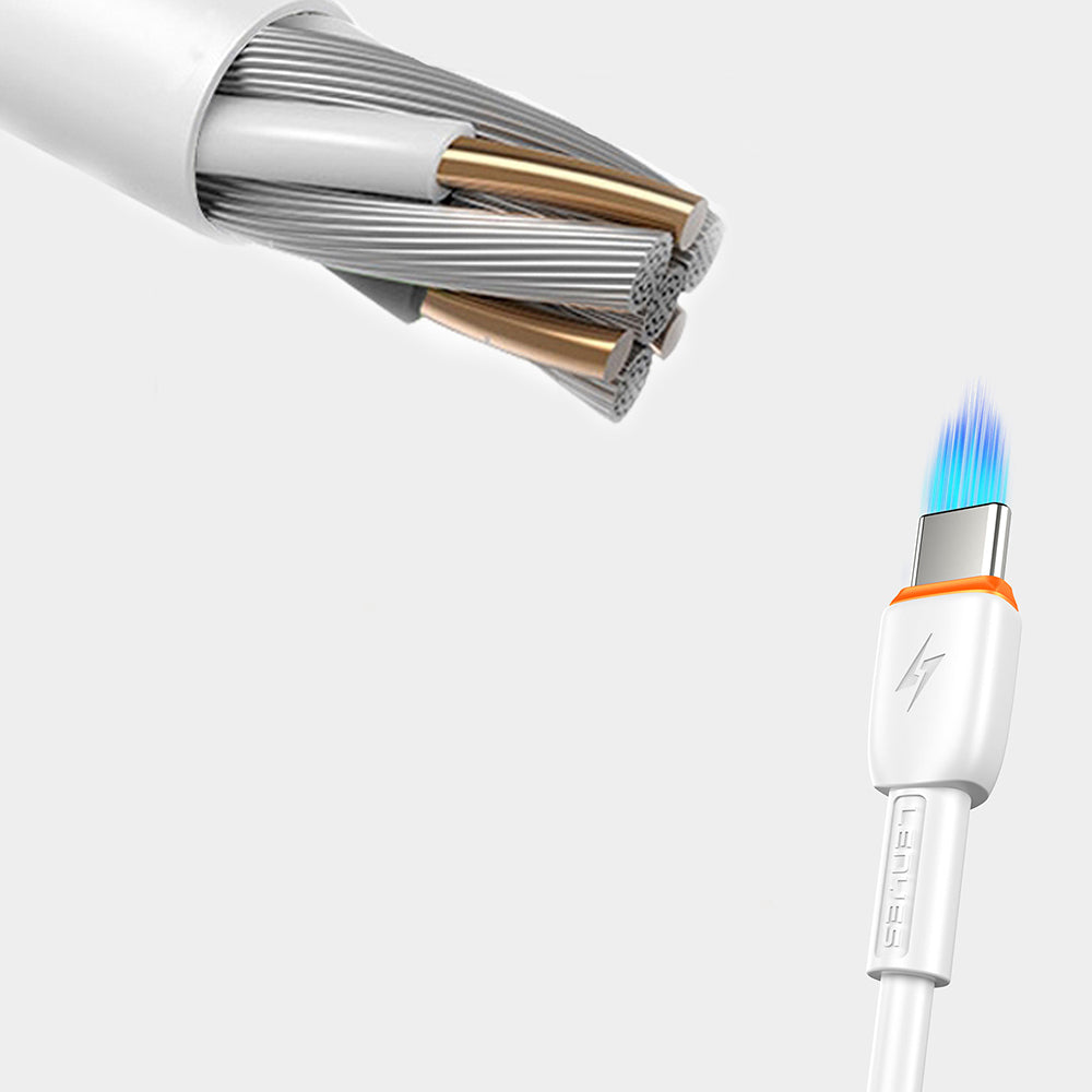 Lenyes LC545 Type-C to Lightning Hızlı Şarj Özellikli Data ve Şarj Kablosu 30W 1M