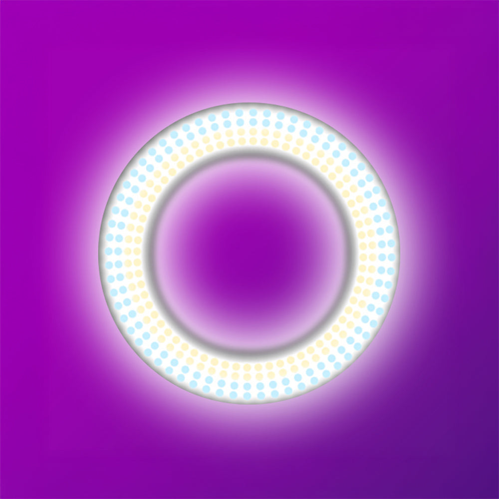 Zore LJJ22 RGB Light 56cm Işıklı Telefon Tutucu Ring Light