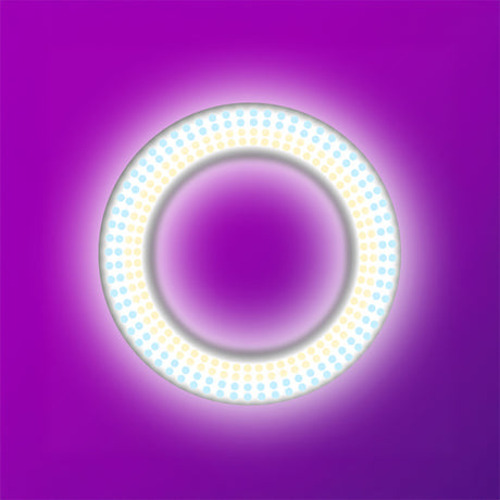 Zore LJJ22 RGB Light 56cm Işıklı Telefon Tutucu Ring Light