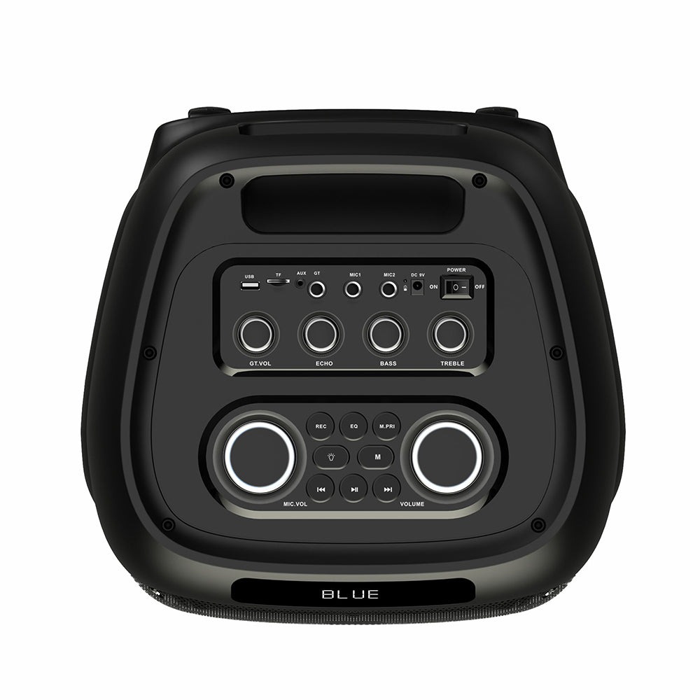 Zore LT-2131 Dijital LED Göstergeli Mikrofonlu RGB TWS Çift 8 inç Stereo Bass Kablosuz Karaoke Hoparlör