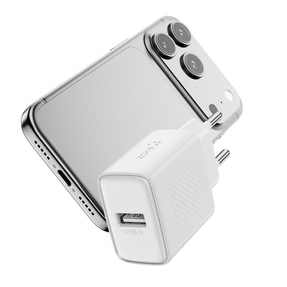 Zore Titan Serisi ZT01 Seyahat Şarj Başlığı