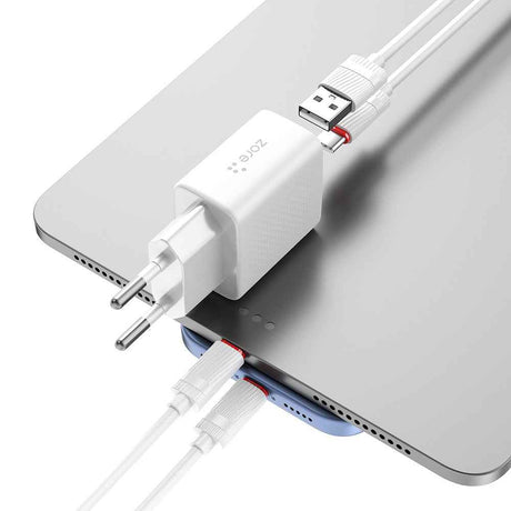 Zore Titan Serisi ZT02 Seyahat Şarj Başlığı 20W